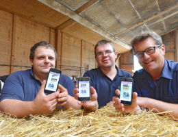 Social Media im Kuhstall