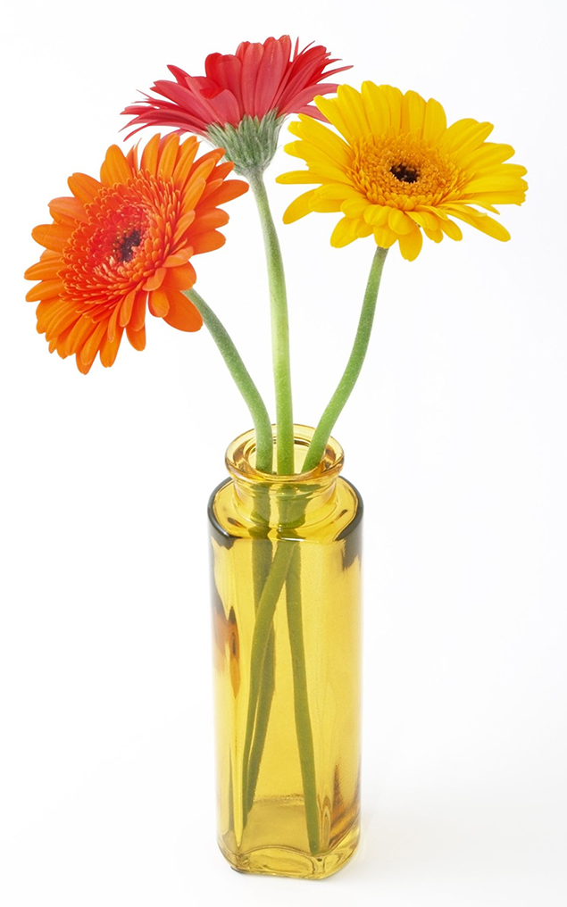 Der Liebe zarte Blüten